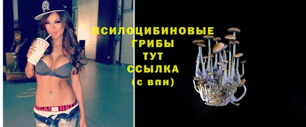 соль ск Алексеевка