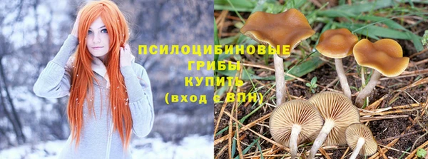 соль ск Алексеевка