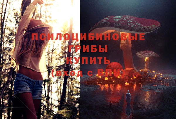 мескалин Алексин